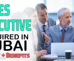 Sales Executive Required in Dubai