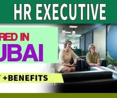 HR Executive Required in Dubai