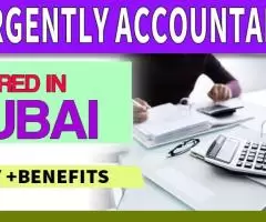 Urgently Accountant Required in Dubai