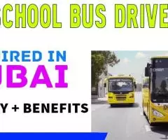 School Bus Driver Required in Dubai