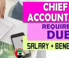 Chief Accountant Required in Dubai