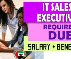 IT Sales Executive Required in Dubai