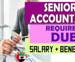 Senior Accountant Required in Dubai