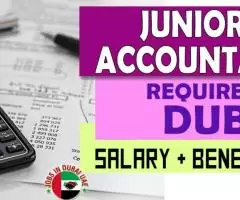 Junior Accountant Required in Dubai