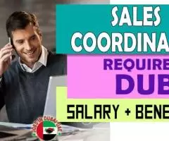 Sales Coordinator Required in Dubai