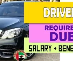 Driver Required in Dubai