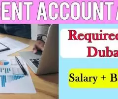 Urgent Accountant Required in Dubai