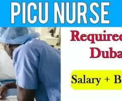 PICU Nurse Required in Dubai