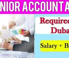 Senior Accountant Required in Dubai