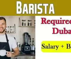 Barista Required in Dubai