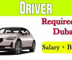 Driver Required in Dubai