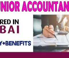 Junior Accountant Required in Dubai