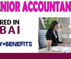 Senior Accountant Required in Dubai