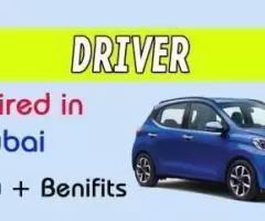 Driver Required in Dubai