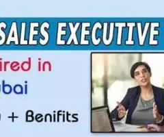 Sales Executive Required in Dubai