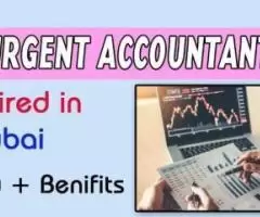 Urgent Accountant Required in Dubai