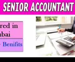 Senior Accountant Required in Dubai