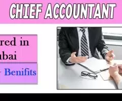 Chief Accountant Required in Dubai