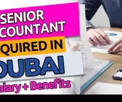 Senior Accountant Required in Dubai