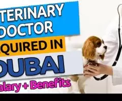 Veterinary Doctor Required in Dubai