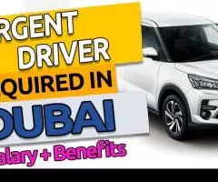 Urgent Driver Required in Dubai