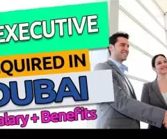 HR Executive Required in Dubai