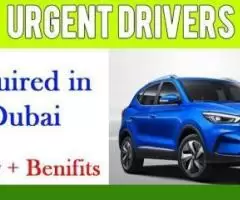 Urgent Drivers Required in Dubai