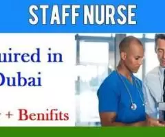 Staff Nurse Required in Dubai