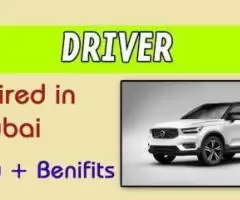 Driver Required in Dubai