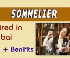 Sommelier Required in Dubai