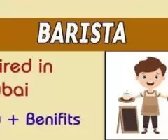 Barista Required in Dubai