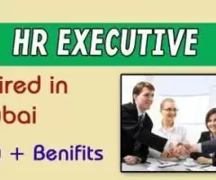 Human Resources Executive Required in Dubai