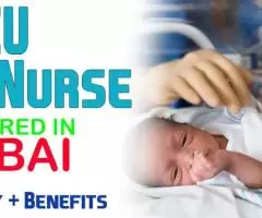 NICU Nurse Required in Dubai