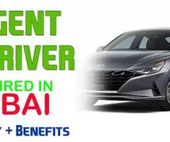 Urgent Driver Required in Dubai