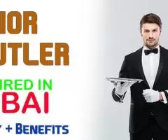 Junior Butler Required in Dubai