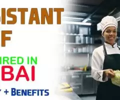 Assistant Chef Required in Dubai