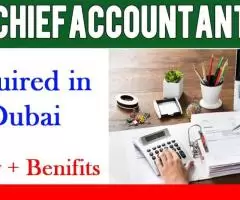 Chief Accountant Required in Dubai