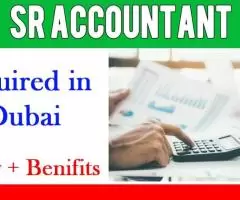 Sr Accountant Required in Dubai