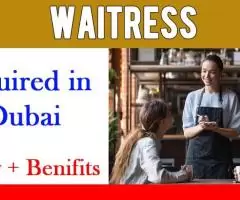 Waitress Required in Dubai