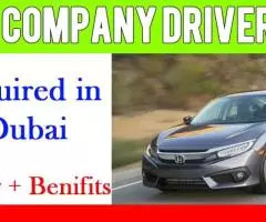 Company Driver Required in Dubai