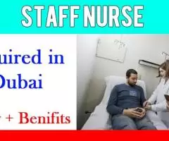 Staff Nurse Required in Dubai