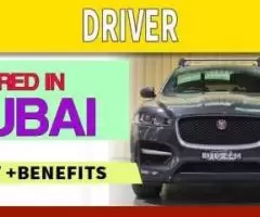 Driver Required in Dubai