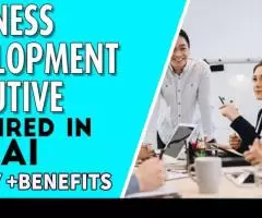 Business Development Executive Required in Dubai