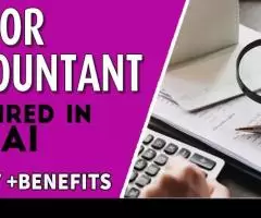 Senior Accountant Required in Dubai