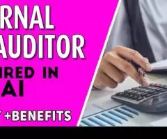 Internal Auditor Required in Dubai