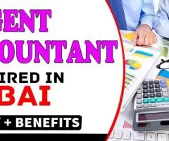 Urgent Accountant Required in Dubai