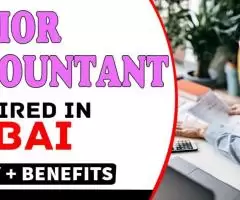 Junior Accountant Required in Dubai