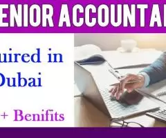 Senior Accountant Required in Dubai