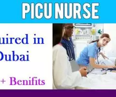 PICU Nurse Required in Dubai