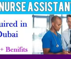 Nurse Assistant Required in Dubai